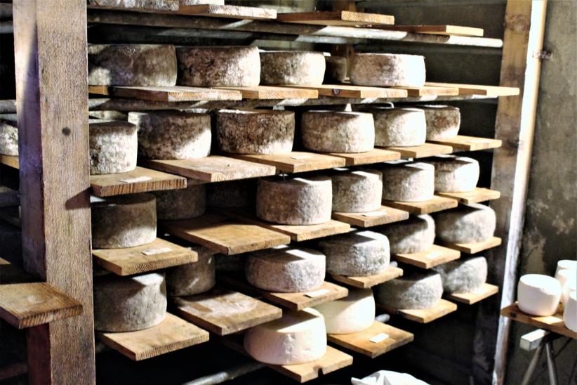 Valmeinier visite de la ferme du Mont Thabor APRR AREA